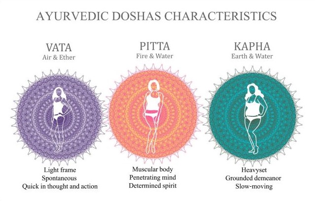 3 Doshas and their bodies